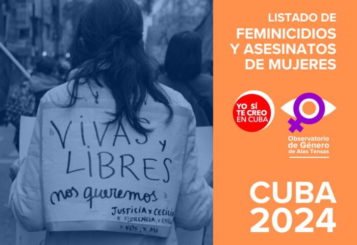 ilustración para listado de feminicidios en 2024